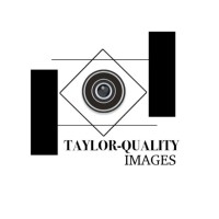 Taylor B.