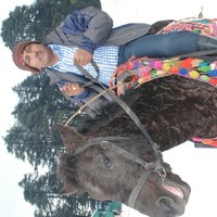 simha kommuri