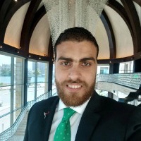 Tarek Abdelhamid