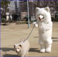 진창우