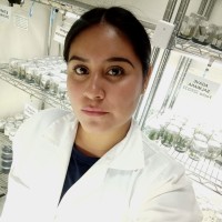 Ursula Ortega Martinez