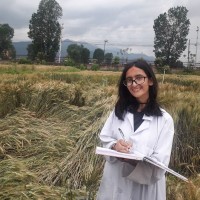 Sushmita Nepal
