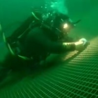 MARCO ANTONIO BERMUDEZ CARVAJAL