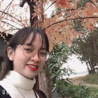 Tran Nguyen Minh Tran