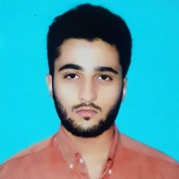 Muhammad Hamza Rashid