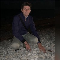 Francesco Fioravanti Fioravanti