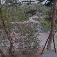 杨进良