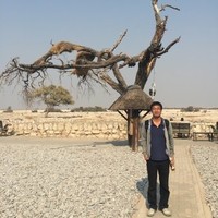 马志文