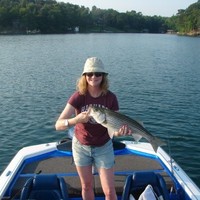 Cindy Hawkins