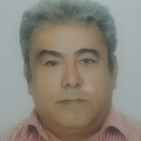 Mehdi Derakhshan