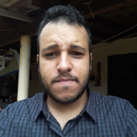 Luis Henrique S. Araujo