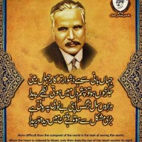 Adnan Sohail