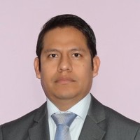 Julio Cesar Farfan Flores
