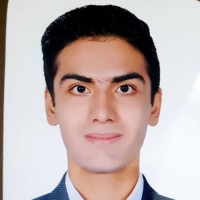 محمد علی وکیلی