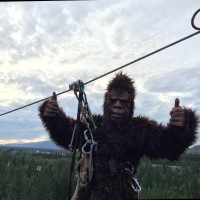 Glacier Ziplines