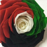 Sahar M H Abu Khrais Icsbr4