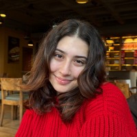 Özlem Ceyda Düztaş