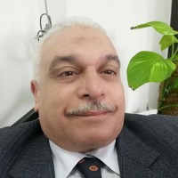 Ali Mahmoud