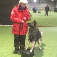 Bente Sønderskov