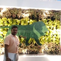 Sureshkumar Biradar