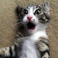 Сын Маминой подруги