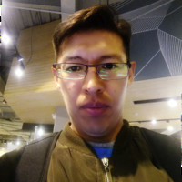 Emmanuel Alvarez Zapana