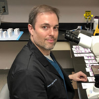 Robert Egbers