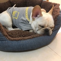 陈博翔