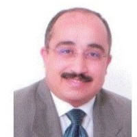 Wael Fekry