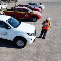 Cynthia González Barichivich