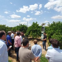 Luis del Rosal González