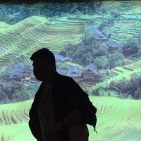 汪欣荣