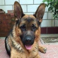 李爱民