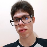 Pedro Henrique Brito Alves