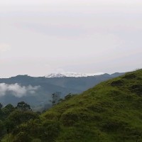 Martha Yaneth Gutiérrez Gélvez