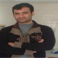 ehsan kamaei