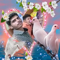 Kiran Suradkar