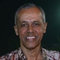 Venkataramanan S