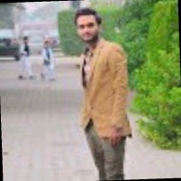 Ali Hamza