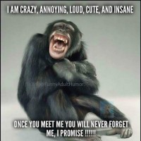 Crazy Chef