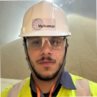 Roberto Vianna Júnior