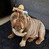 Rudy Abeyta