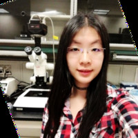 Anqi (Angel) Chen