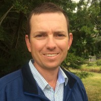 Matt Whiting