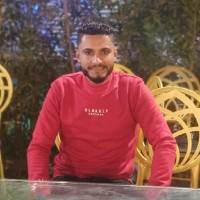 Ahmed Hasnin
