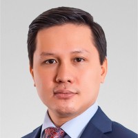 Amir Nurkassymov, Cpa, Ca, Cipa