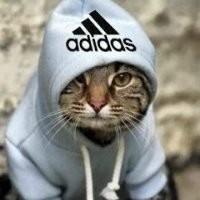 Андрей Калинчик