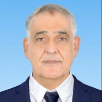 Steve Ahmad