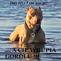 Grzegorz Cichy