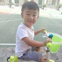 苏子龙